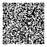 QR Code 6